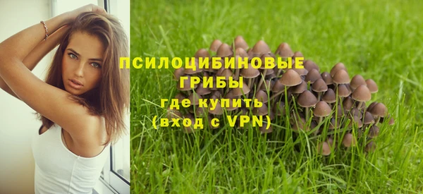 mix Абаза