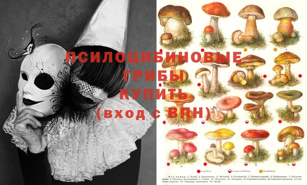 скорость Абинск