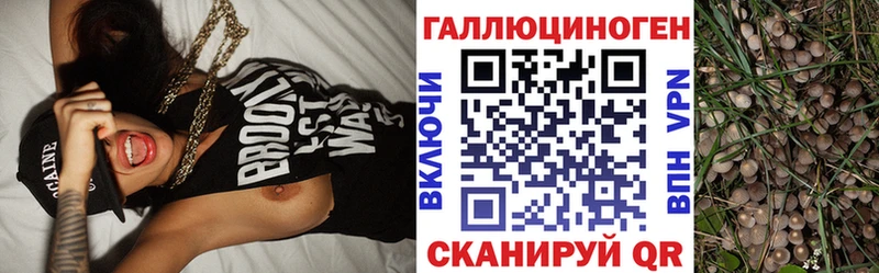 Галлюциногенные грибы прущие грибы Шарыпово