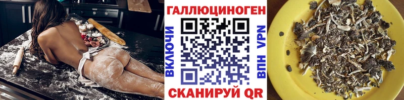 Псилоцибиновые грибы Psilocybine cubensis  Шарыпово 
