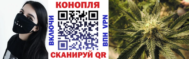 блэк спрут ССЫЛКА Шарыпово Каннабис планчик